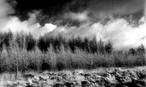 IR9 - Infra Red