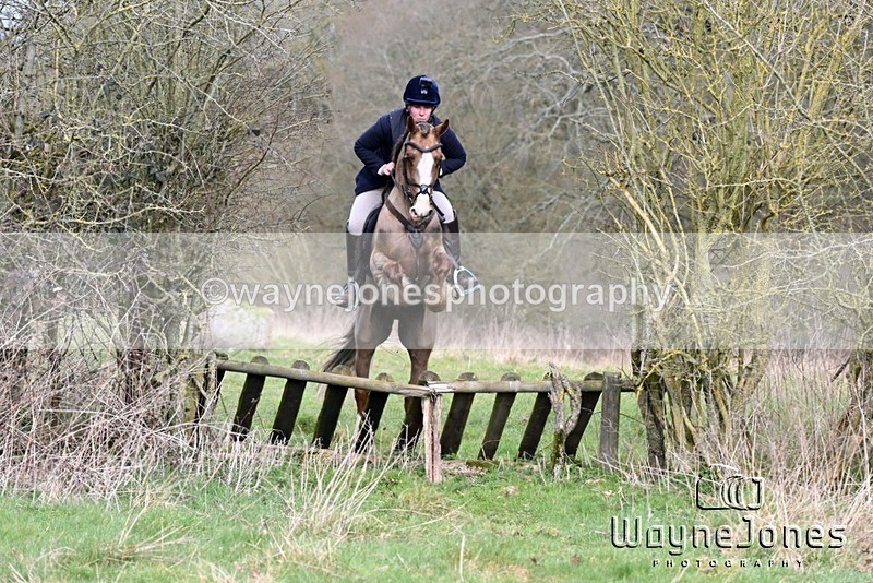 WJ6_0783 - Edited examples