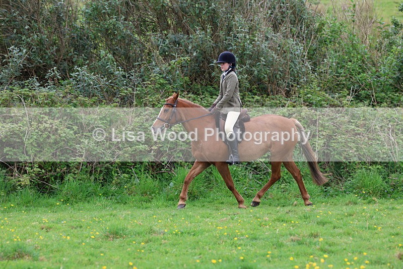 3E7A1521 - Class 8: Ridden Veteran Junoir and Senior