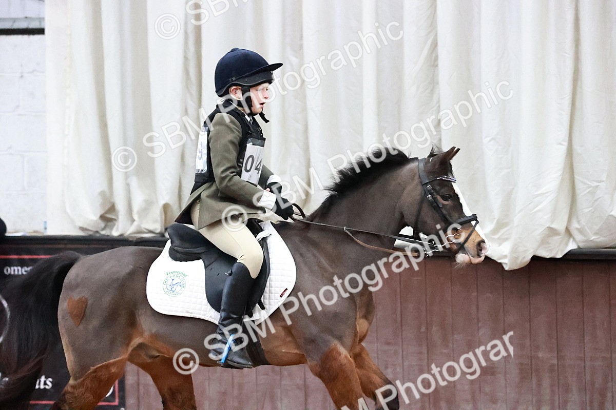 SBM_000680 - Class 2 - Show Jumping 50cm