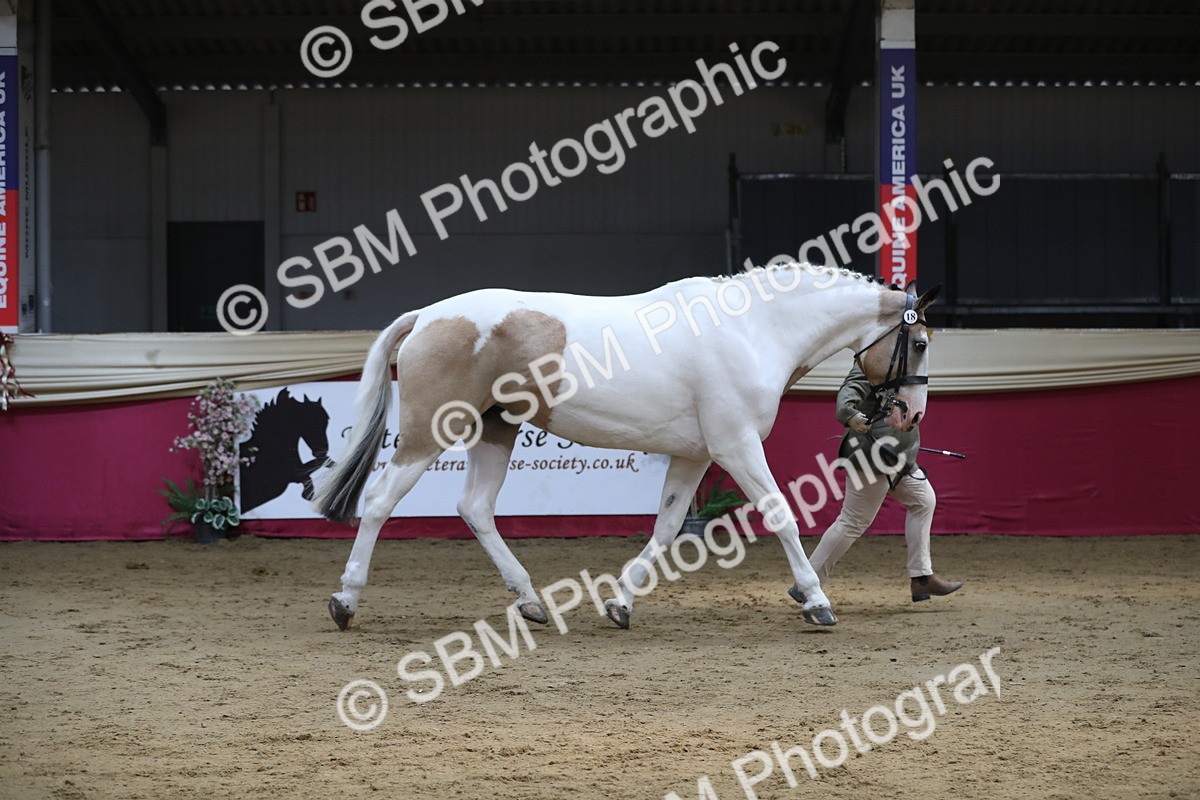SBM_06232 - Class 9R Regional- IH Pre Vet