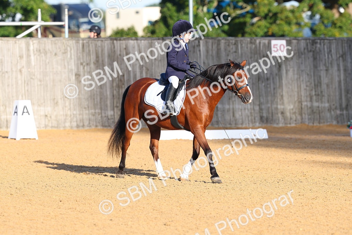 SBM_33514 - D26 - Test Starter Test 1