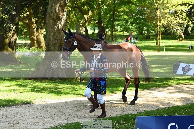 230524-152124-00223 - 324-DRUMGIVEN_MR_CHARISMA-Jeanette_Brakewell-WEDTrotUp+DR