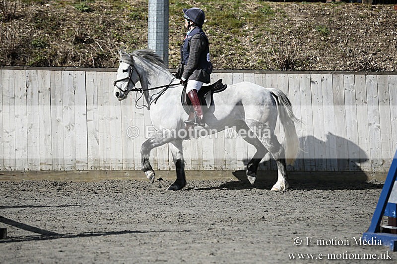 BVRC SJ 170319 282 - Bourne Valley Riding Club Showjumping 17/03/19