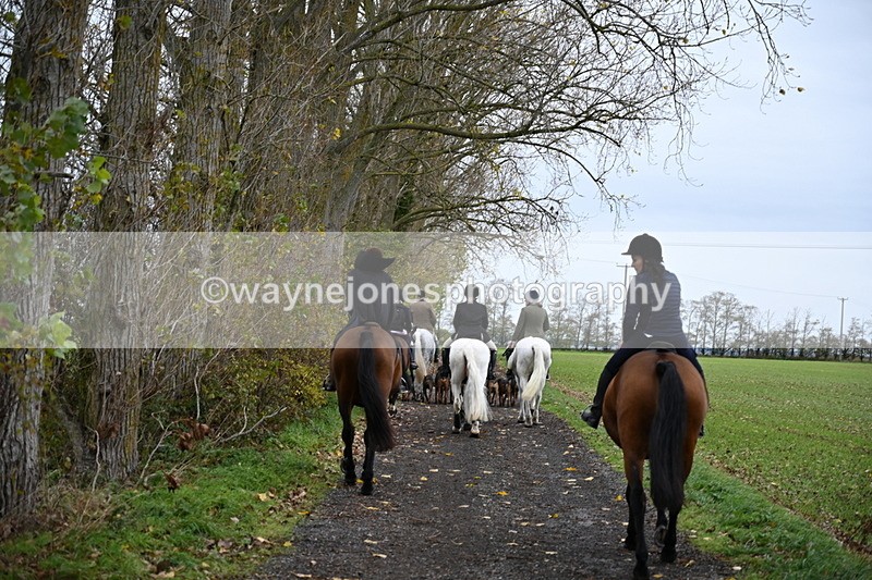 WJ6_9431 - Ride