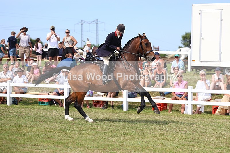 3E7A0170 - Parade of Hounds