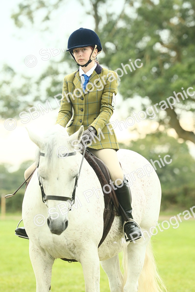 SBM_72256 - S60 - Mountain & Moorland Ridden Large Breeds