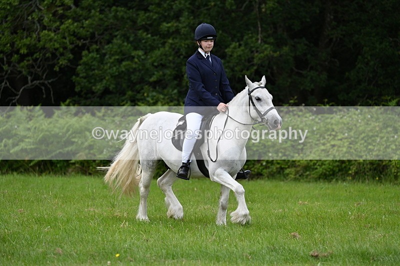 WJ7_2585 - Class 12A Coloured Class