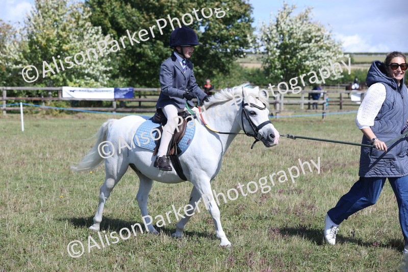 20250831-2588 - Class 16 - Family Pony