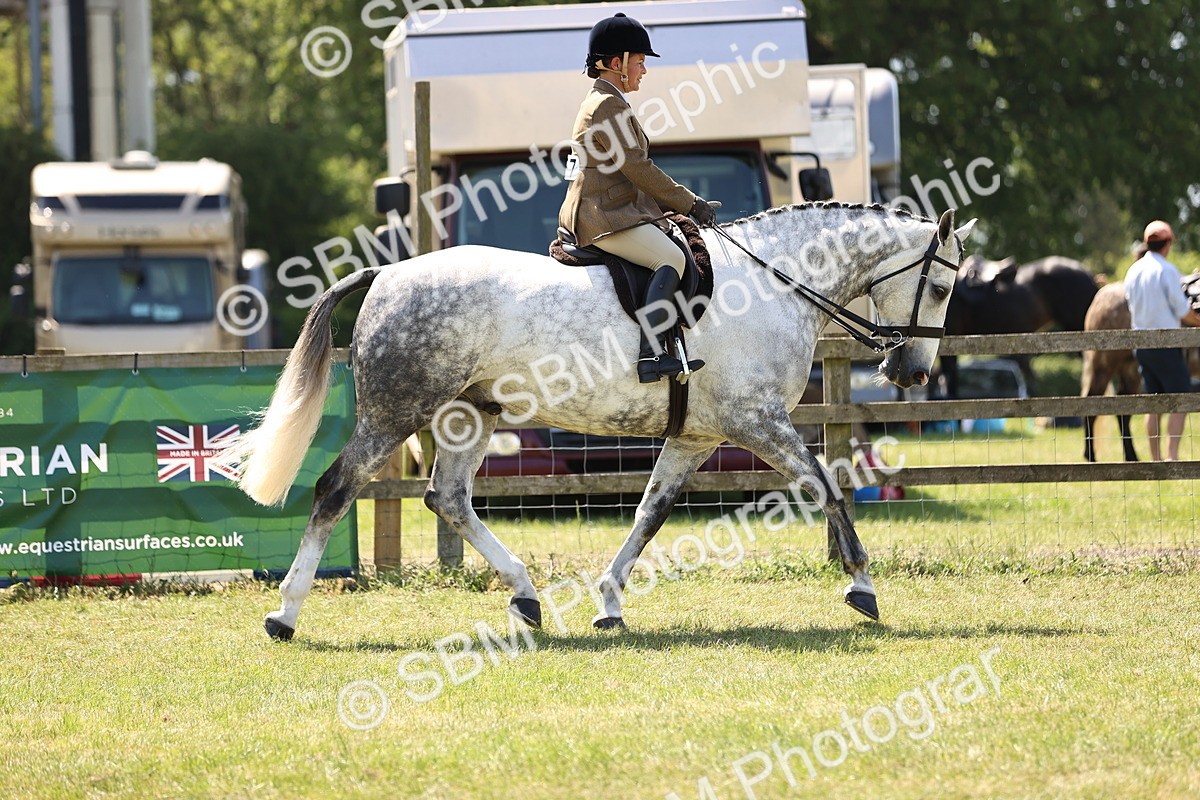 SBM_17696 - Class 81-83 - TSR Ridden Amateur of the Year - Horses