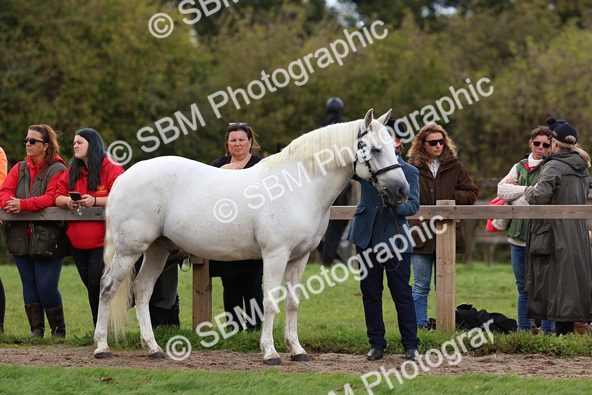 SBM_39450 - S24 - Young Veteran In Hand