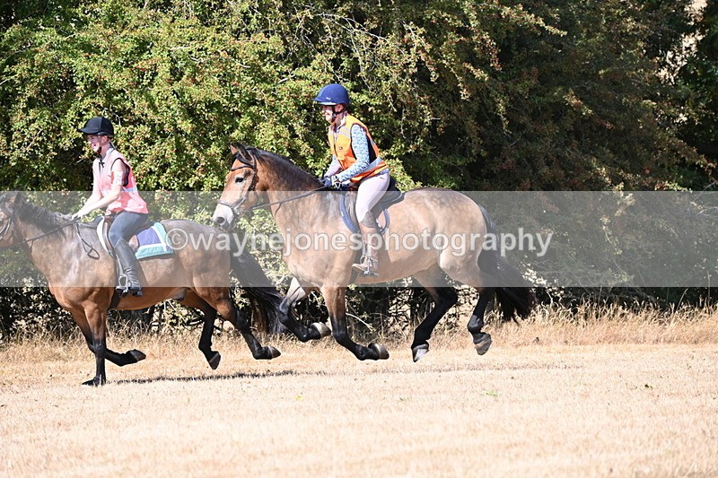 WJ6_8796 - Time 11:53 to 11:56