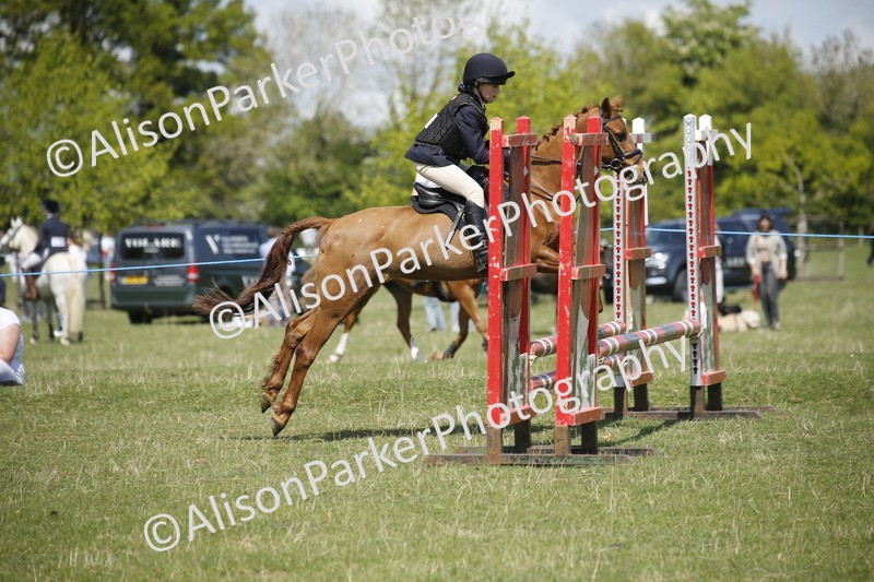 20250427-3492 - Class 14 - Absolute Novice 70cm