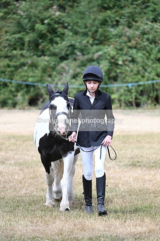 WJ7_1697 - Class 4 Prettiest Mare up to 14.2hh in hand