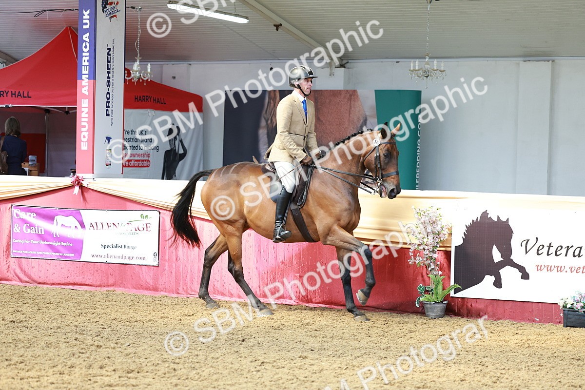 SBM_14891 - Class 108 - Ridden Retired Racehorse