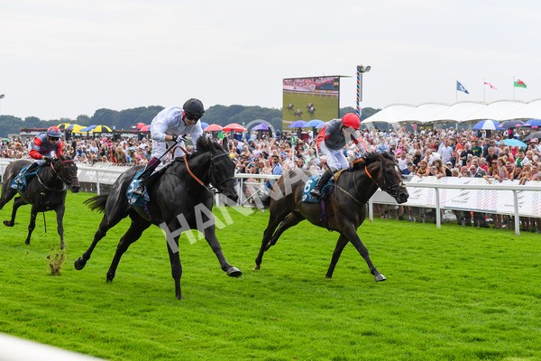 100923-Race 2-Florida-0524 - Race 2 2.15pm John And Judith Marshall Memorial Handicap