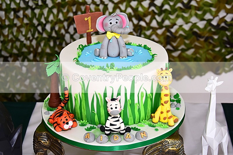 ADN-037 - Aiden's 1st Birthday