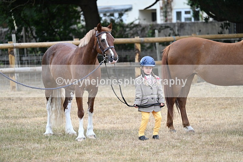 WJ7_8523 - Class 4 Prettiest Mare up to 14.2hh
