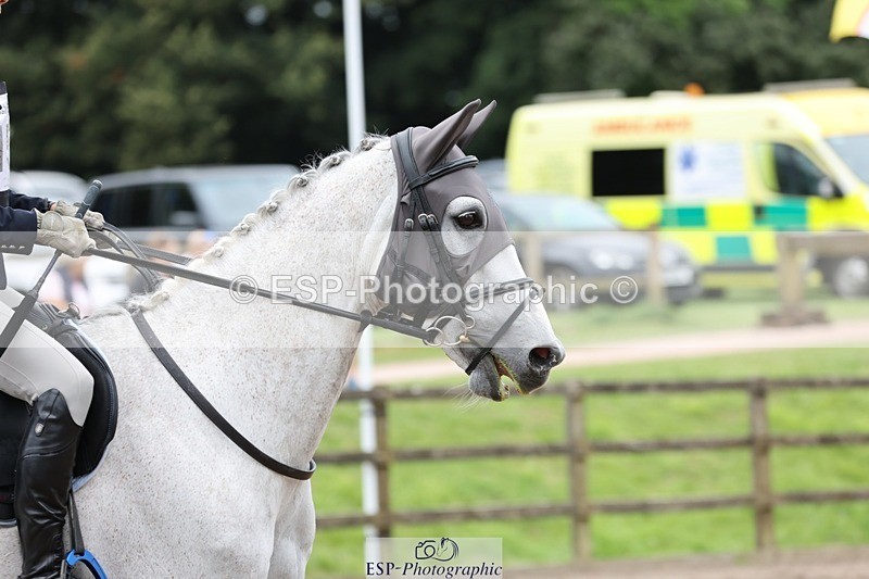 240803-123812-05056 - 155-Tracy_Meeking-SIMPLY_CERTAIN