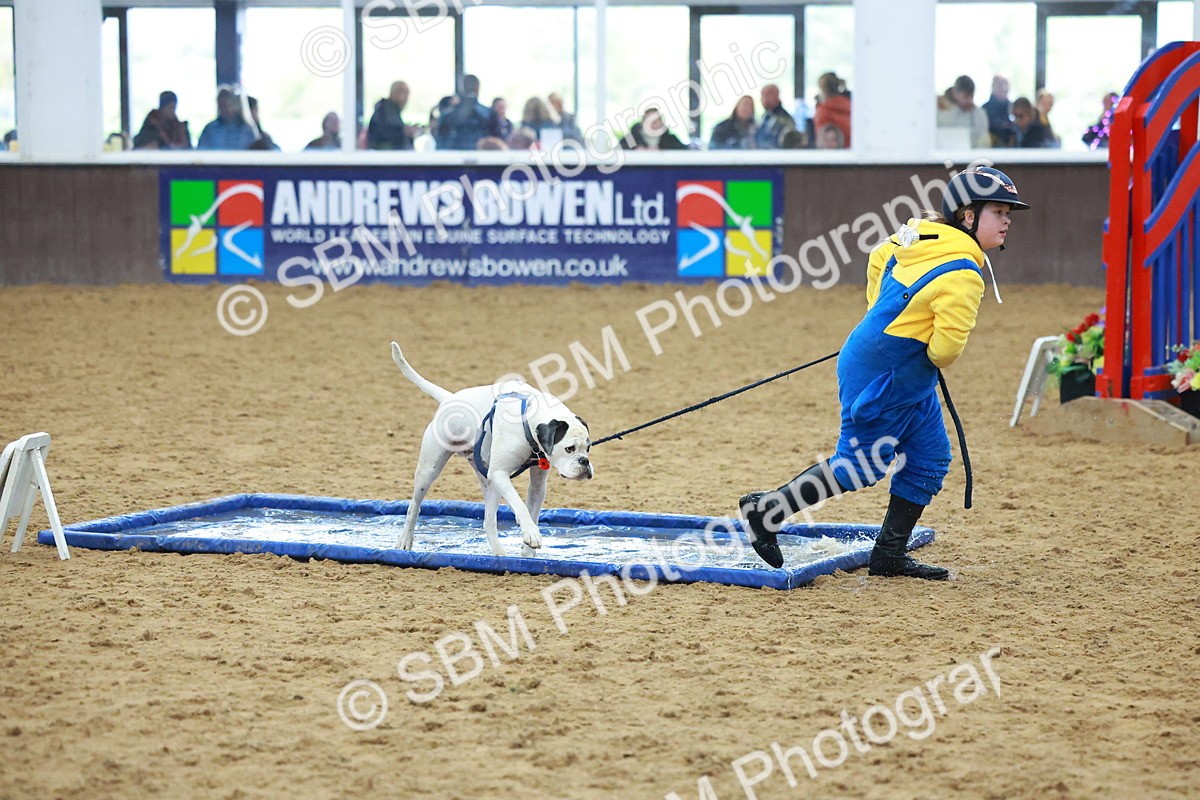 SBM_002305 - Class 3 - Horse & Hound (60cm)