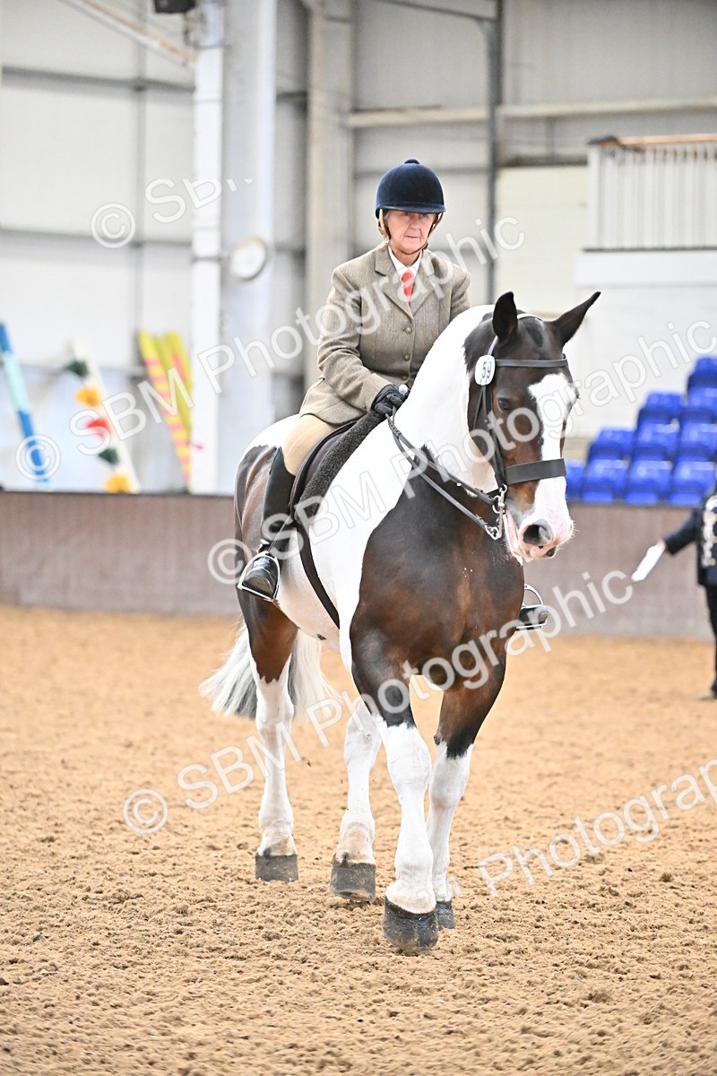 SBM_002640 - Class 28,29 - Ridden Irish & Coloured