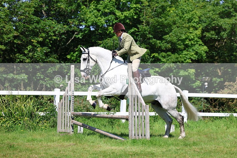 3E7A6896 - Class 30: Novice Working Hunter