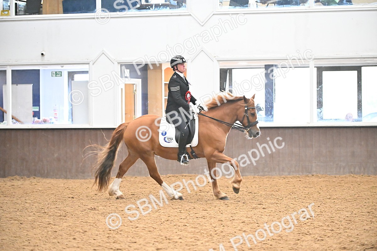 SBM_002746 - Ridden Showing Supreme Championships
