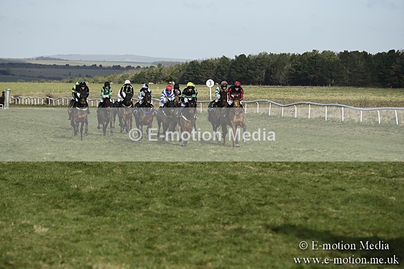 PtP 070118 -39 - Larkhill Racing Club Point to Point Larkhill 07/01/2018