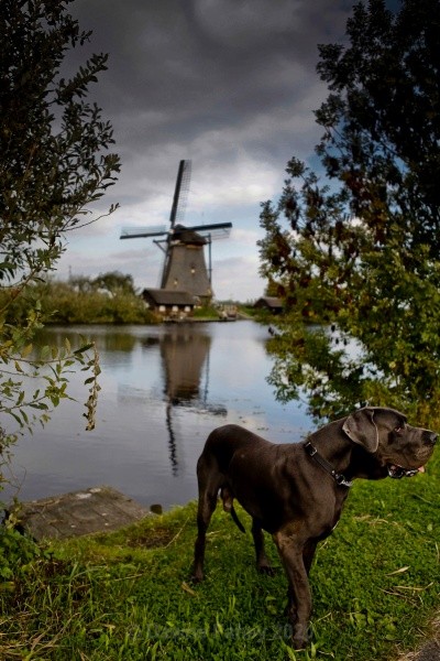  - Kinderdijk