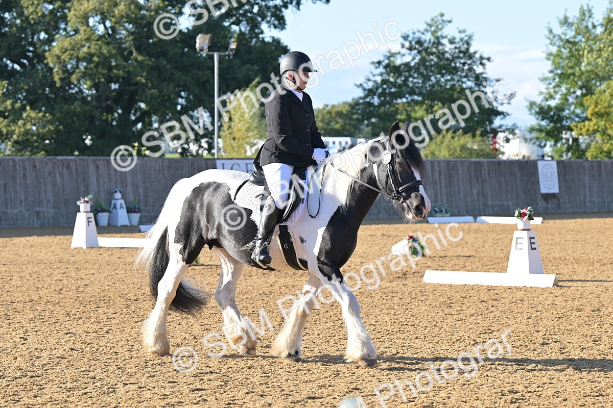 SBM_13025 - D3 - Small Tour Championship Intro 3