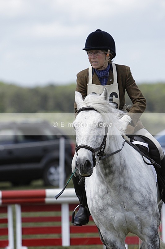 BVHT 140517 N-261 - Class 2 SJ Novice 14/05/17