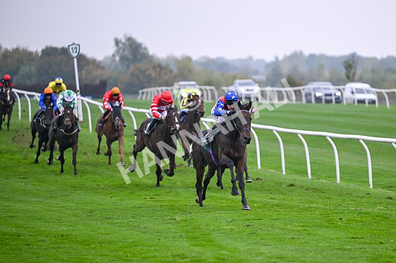 181025-Race 4-Fouroneohfever-0691 - Race 4