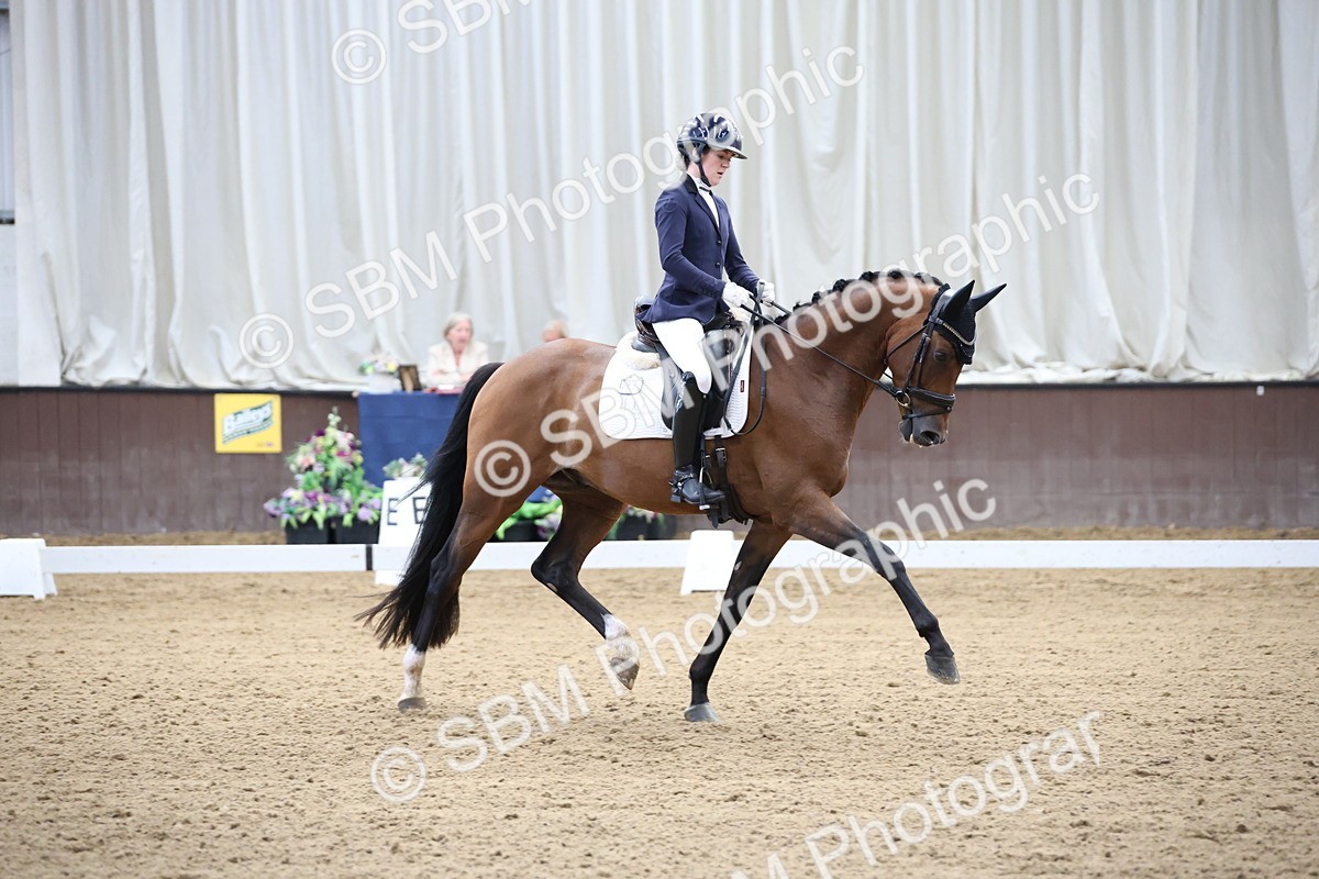 SBM_002184 - Class 5 - Novice 6 Gold - 9.00-10.10