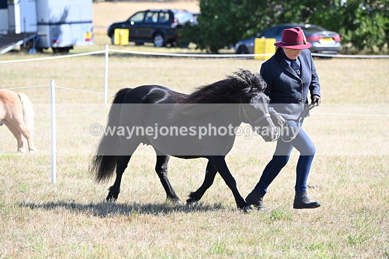WJ6_4514 - Class 17 Mountain & Moorland