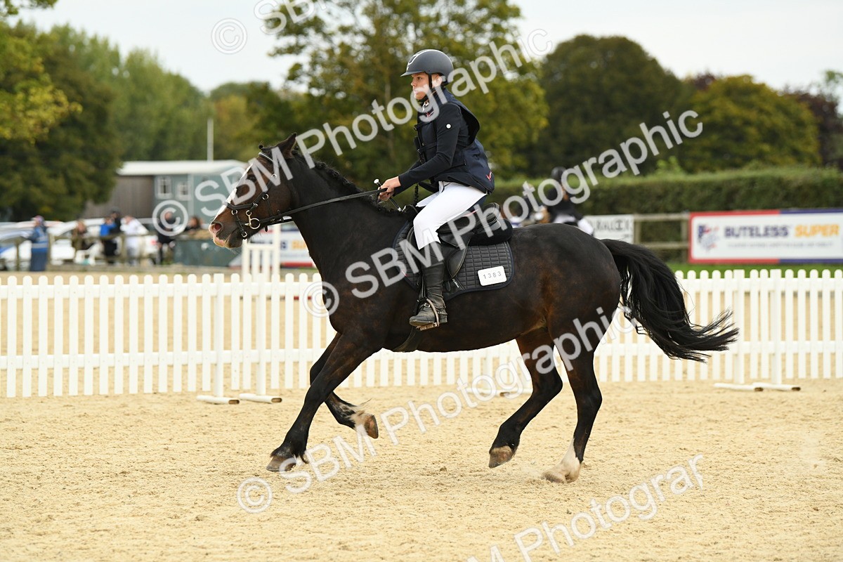SBM_73203 - J16 - Junior Pony 75cm Championship