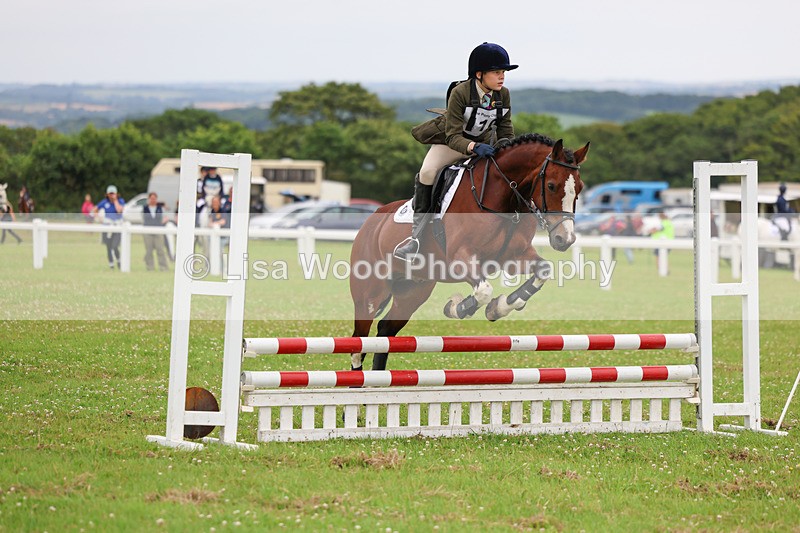 3E7A2953 - Class 1: Open 70cm (Not all Competitors)