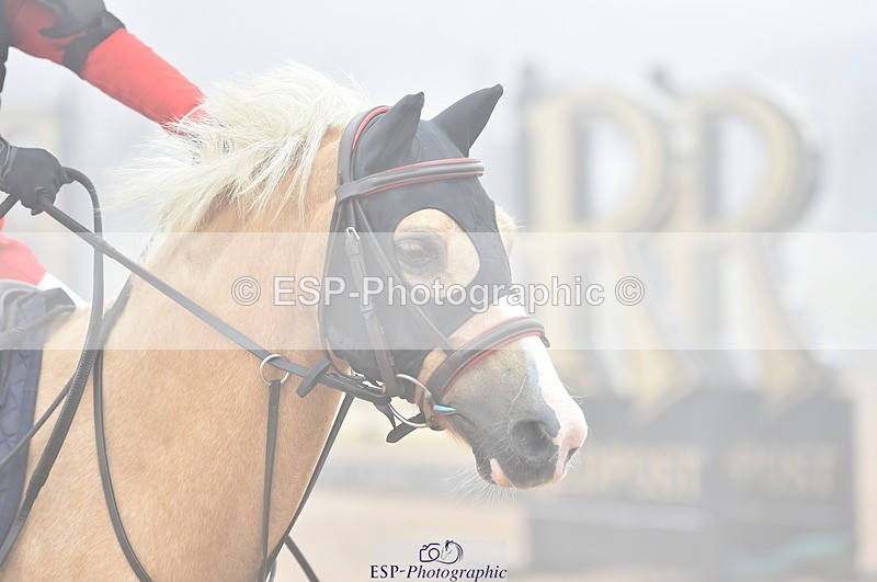 230902A-103626-00415 - Cls 2A Pony Small 70cm