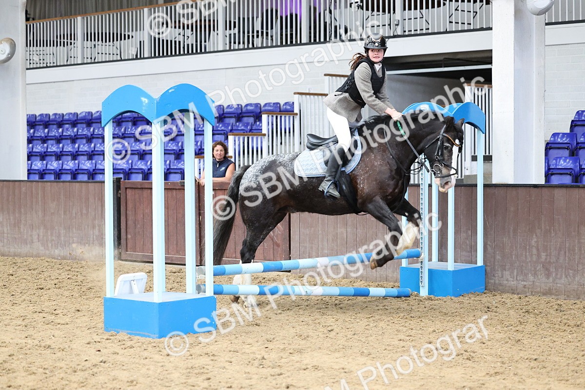 SBM_007720 - Class 3 - 60cm showjumping