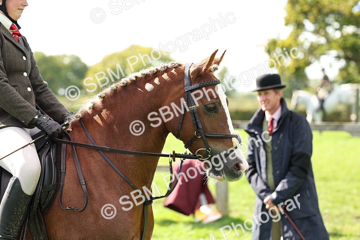 SBM_45420 - S33 - Working Hunter Pony