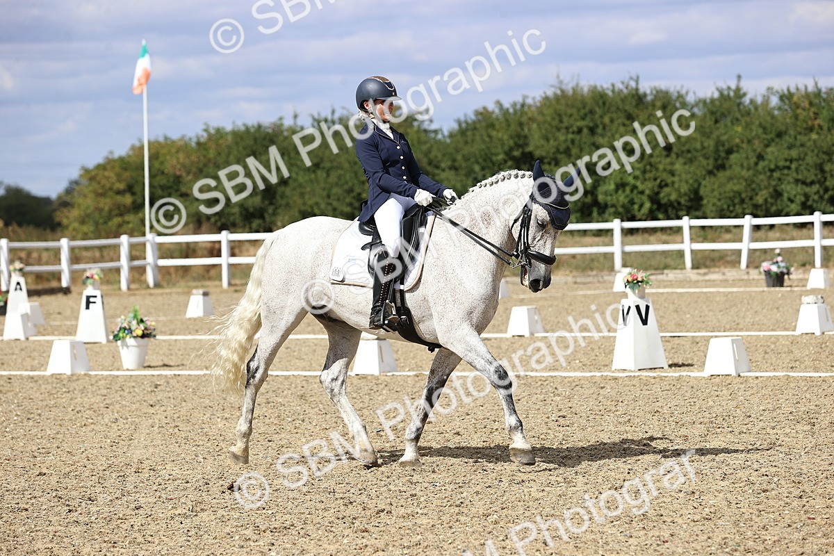 SBM_015182 - Class 5 - E5 Bronze 14.42.15.54