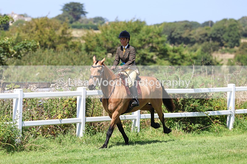 3E7A9220 - Working Hunter Championship