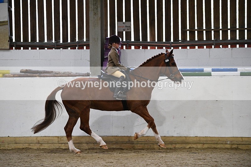 WJ5_6403 - Class 9 Ridden Veteran