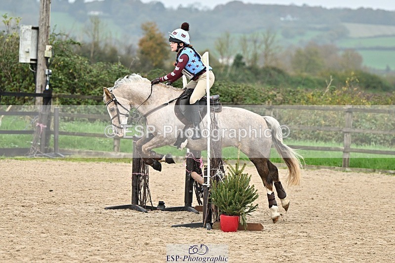 241110-120312-00580 - 50-55cm Arena Eventing