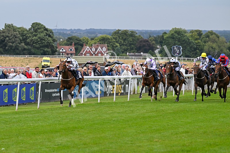 150824-Race 2-Greek Gift-7628 - Race 2