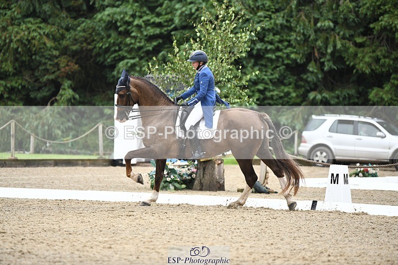 240720-160212-06353 - 142-Amberley_Pugsley-Hero_A