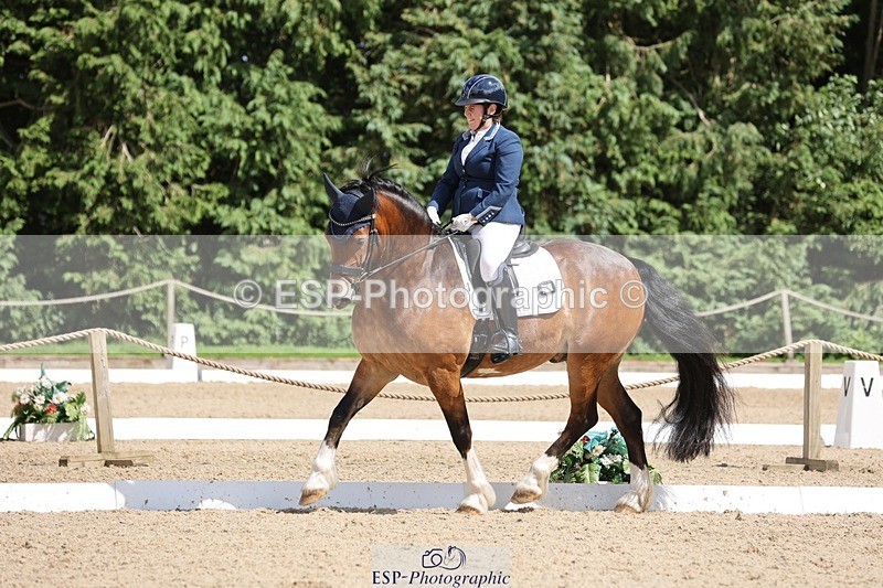 240721-151739-09680 - 300-Alison_Crimp-Crwys_Beau