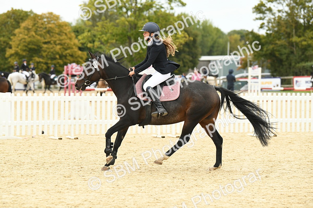 SBM_73233 - J16 - Junior Pony 75cm Championship