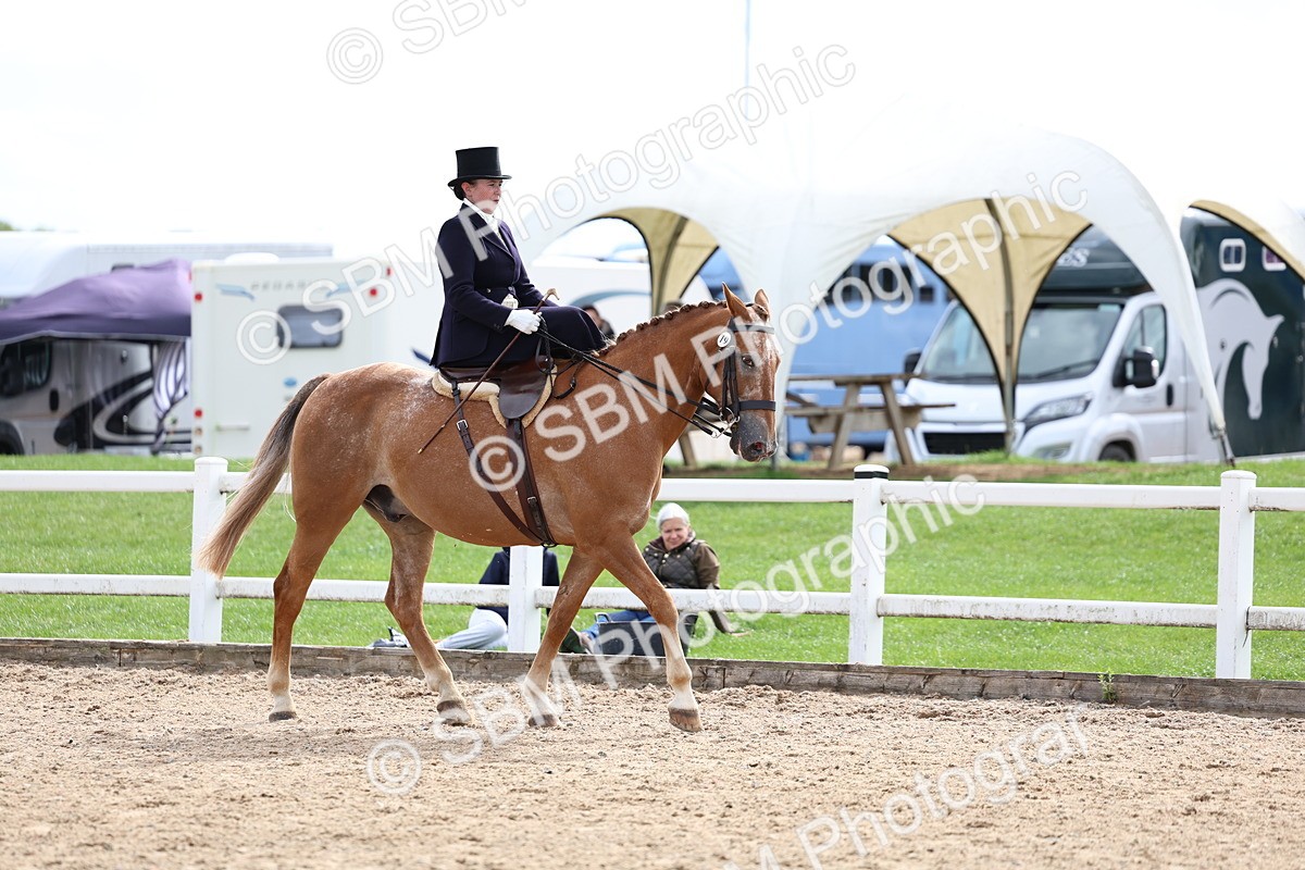 SBM_03354 - Class 23 - SSA Classical (any age)