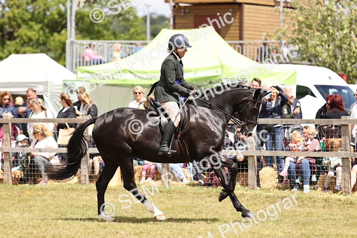 SBM_14796 - Class 88-89 - LIHS BSHA Rising Star of Ridden Hunter Type