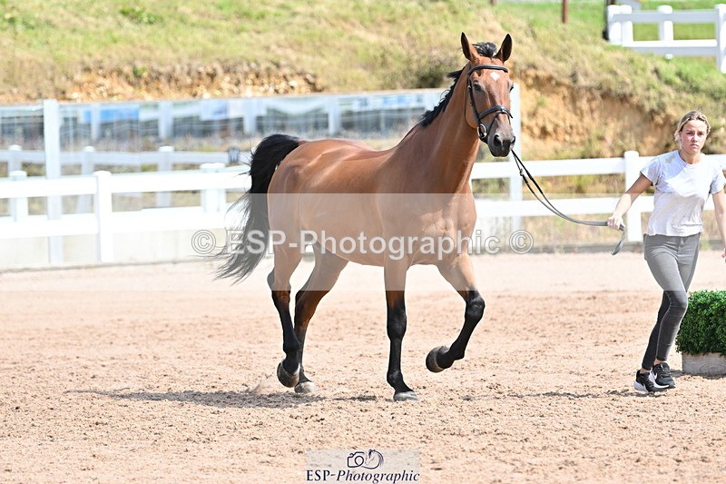 240717A-155336-03146 - Trot Up 3pm to 4pm